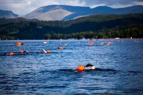 chillswim Coniston Swimmers_500x334